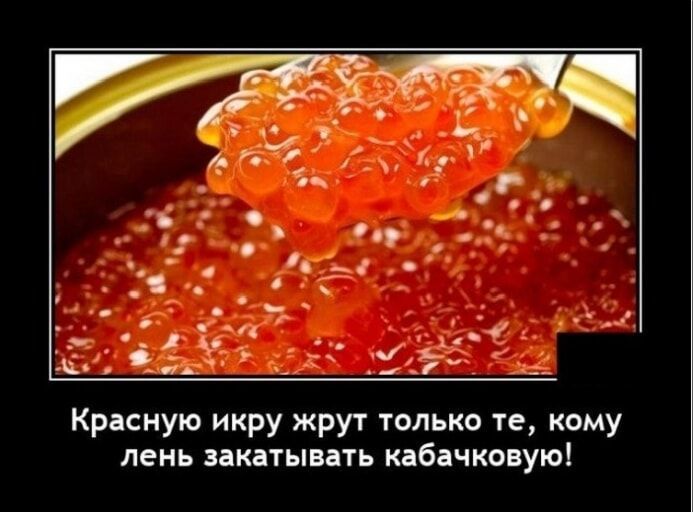 Красную икру жрут только те, кому лень закатывать кабачковую!
