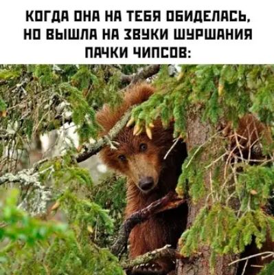 Когда она на тебя обиделась, но вышла на звуки шуршания пачки чипсов: