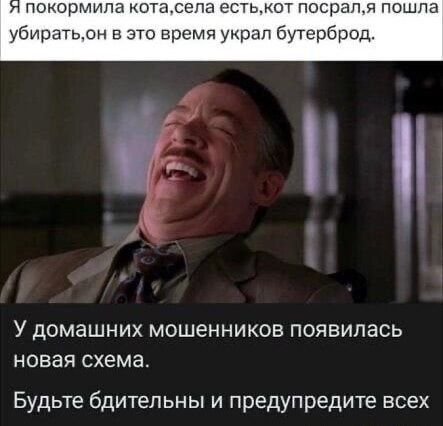 Я покормила кота, села есть, кот посрал, я пошла убирать, он в это время украл бутерброд.

У домашних мошенников появилась новая схема.
Будьте бдительны и предупредите всех.