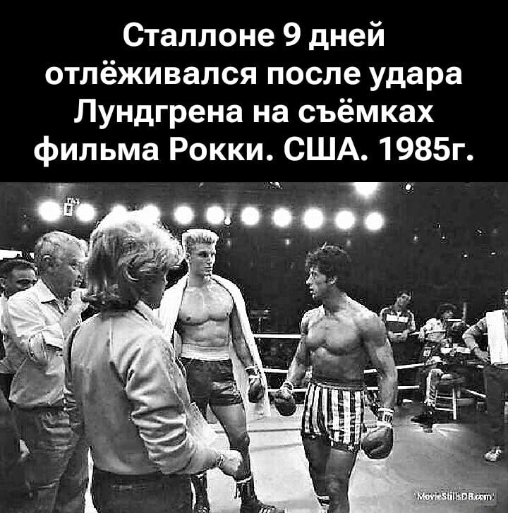 Сталлоне 9 дней отлеживался после удара Лундгрена на съёмках фильма Рокки. США. 1985г.