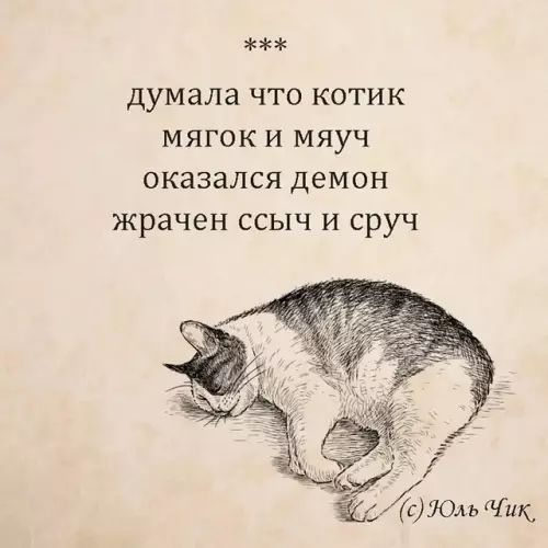думала что котик мягок и мяуч оказался демон жрачен ссыч и сруч