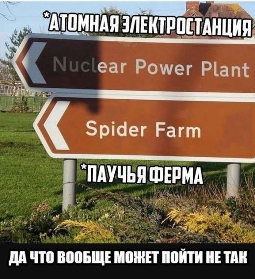 АТОМНАЯ ЭЛЕКТРОСТАНЦИЯ
Nuclear Power Plant
Spider Farm
ПАУЧЬЯ ФЕРМА
да что вообще может пойти не так