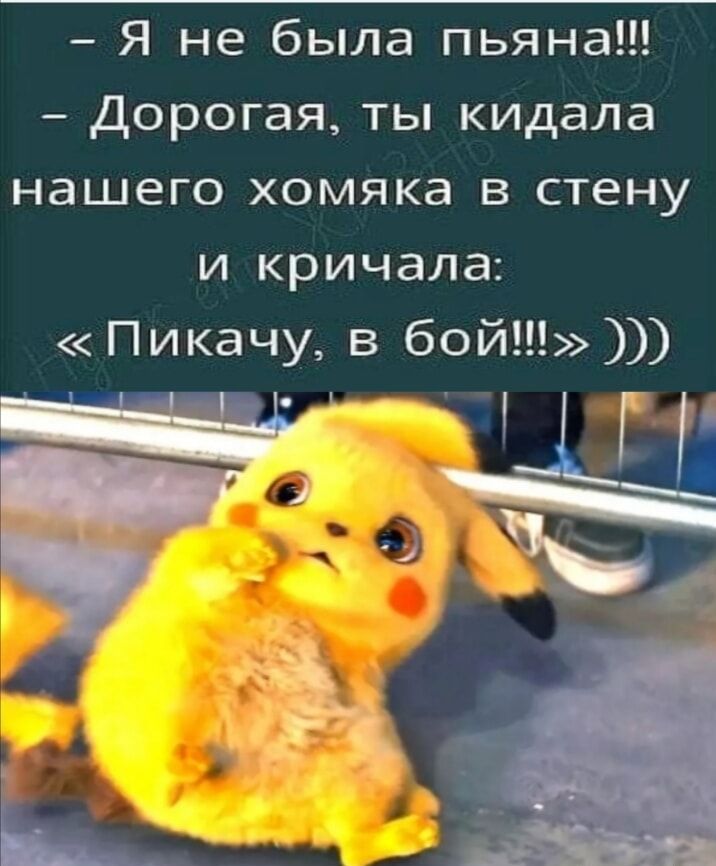 – Я не была пьяна!!!
– Дорогая, ты кидала нашего хомяка в стену и кричала: 