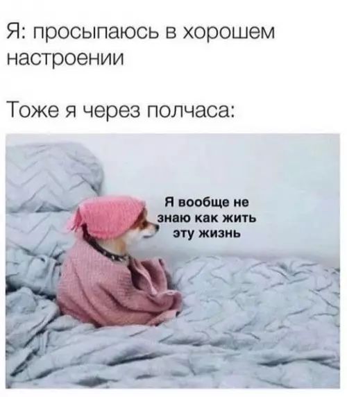 Я: просыпаюсь в хорошем настроении
Тоже я через полчаса:
Я вообще не знаю как жить эту жизнь