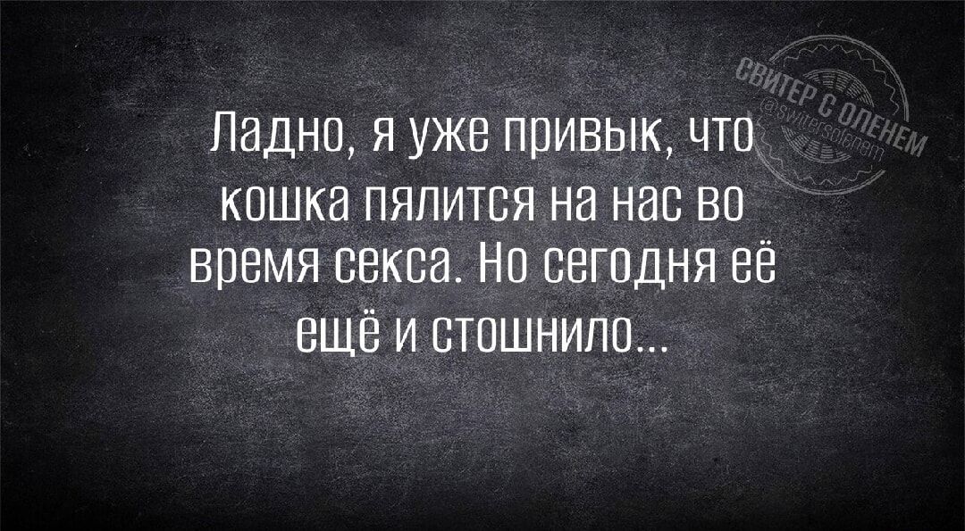 Ладно, я уже привык, что кошка пялится на нас во время секса. Но сегодня её ещё и стошнило...