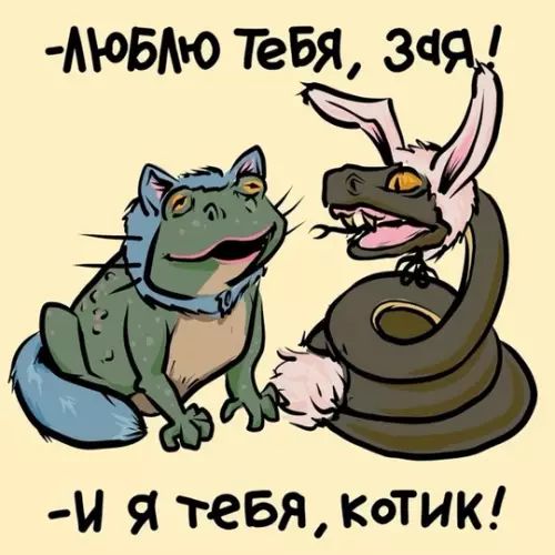 Люблю тебя, зайка! - И я тебя, котик!