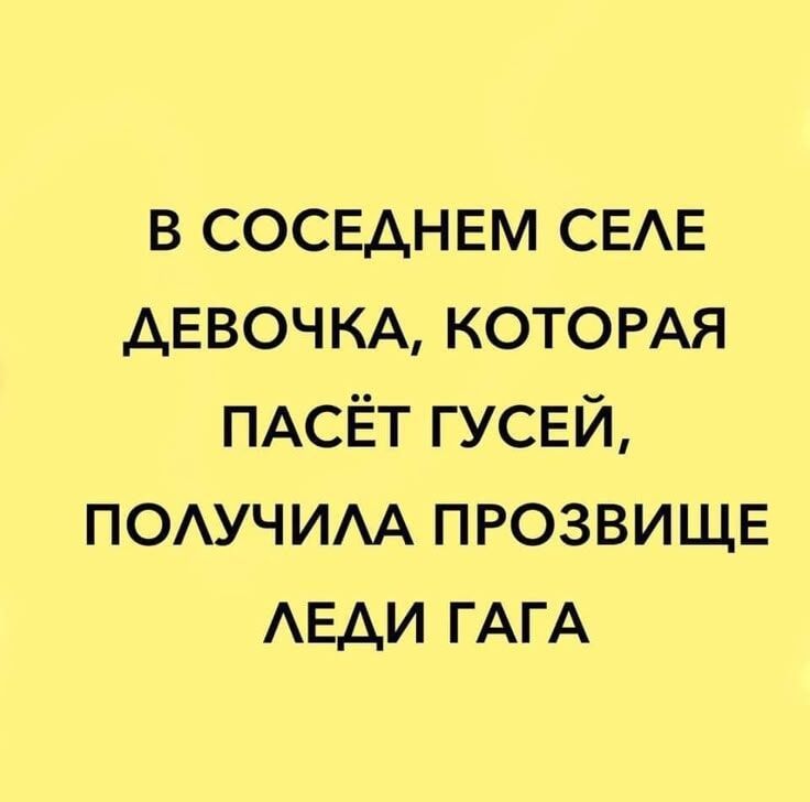 В СОСЕДНЕМ СЕЛЕ ДЕВОЧКА, КОТОРАЯ ПАСЁТ ГУСЕЙ, ПОЛУЧИЛА ПРОЗВИЩЕ ЛЕДИ ГАГА