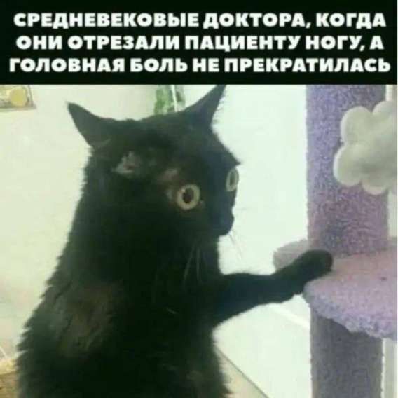 СРЕДНЕВЕКОВЫЕ ДОКТОРА, КОГДА ОНИ ОТРЕЗАЛИ ПАЦИЕНТУ НОГУ, А ГОЛОВНАЯ БОЛЬ НЕ ПРЕКРАТИЛАСЬ