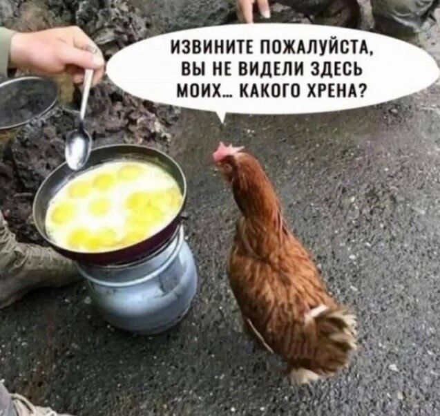 ИЗВИНИТЕ ПОЖАЛУЙСТА, ВЫ НЕ ВИДЕЛИ ЗДЕСЬ МОИХ... КАКОГО ХРЕНА?