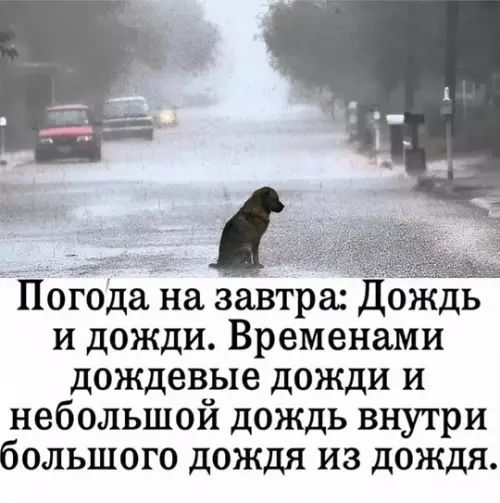 Погода на завтра: Дождь и дожди. Временами дождевые дожди и небольшой дождь внутри большого дождя из дождя.