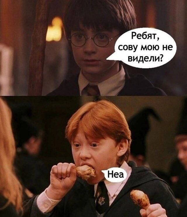 Ребят, сову мою не видели? Неа.