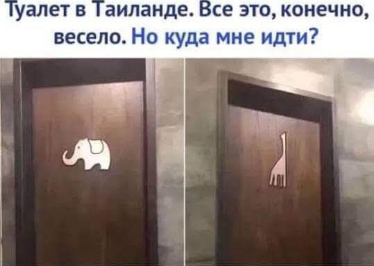 Туалет в Таиланде. Все это, конечно, весело. Но куда мне идти?