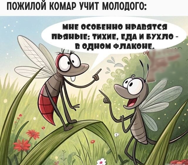 ПОЖИЛОЙ КОМАР УЧИТ МОЛОДОГО:
МНЕ ОСОБЕННО НРАВЯТСЯ ПЬЯНЫЕ: ТИХИЕ, ЕДА И БУХЛО - В ОДНОМ ФЛАКОНЕ.