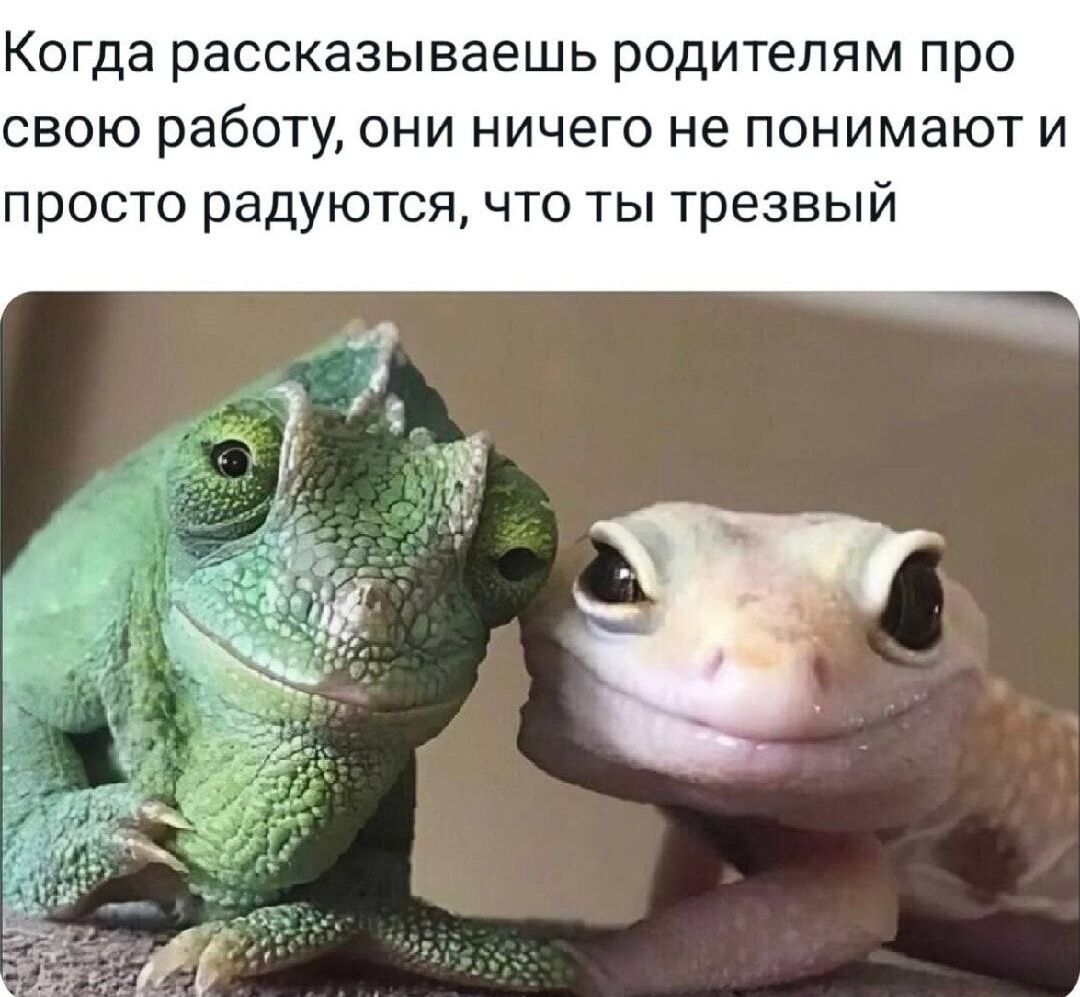 Когда рассказываешь родителям про свою работу, они ничего не понимают и просто радуются, что ты трезвый