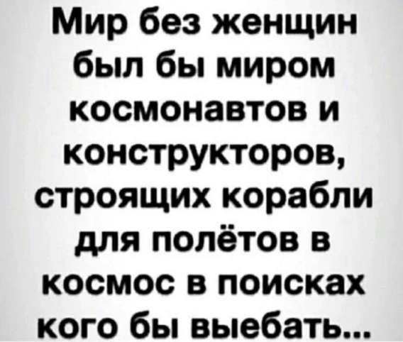 Мир без женщин был бы миром космонавтов и конструкторов, строящих корабли для полётов в космос в поисках кого бы выебать...