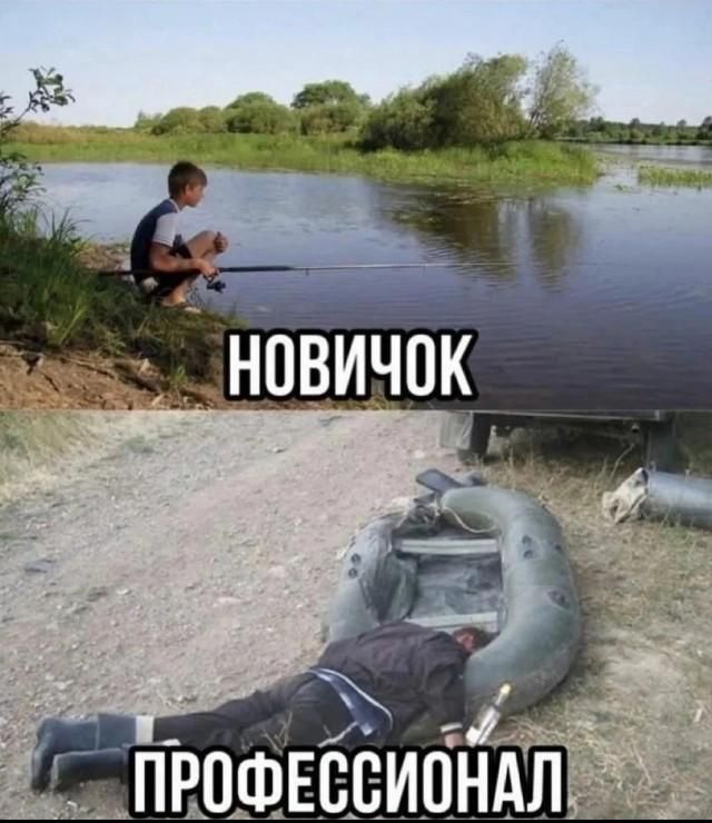 НОВИЧОК
ПРОФЕССИОНАЛ
