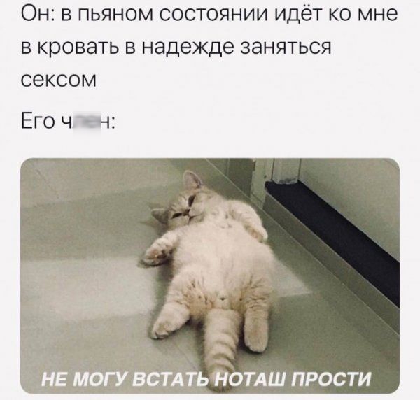 Он: в пьяном состоянии идёт ко мне в кровать в надежде заняться сексом
Его член:
НЕ МОГУ ВСТАТЬ НОТАШ ПРОСТИ