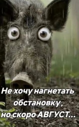 Не хочу нагнетать обстановку, но скоро АВГУСТ...