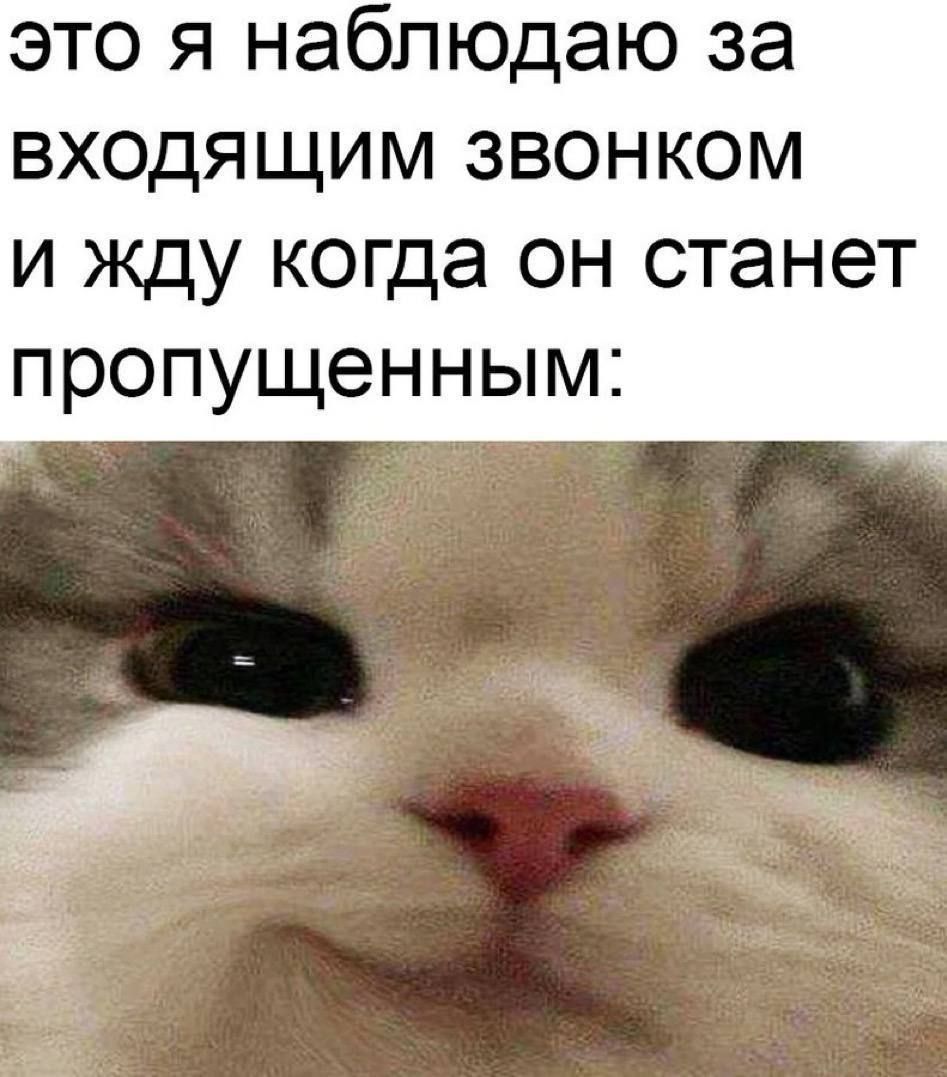 это я наблюдаю за входящим звонком и жду когда он станет пропущенным:
