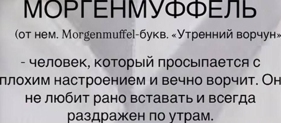МОРГЕНМУФФЕЛЬ (от нем. Morgenmuffel-букв. «Утренний ворчун») - человек, который просыпается с плохим настроением и вечно ворчит. Он не любит рано вставать и всегда раздражен по утрам.
