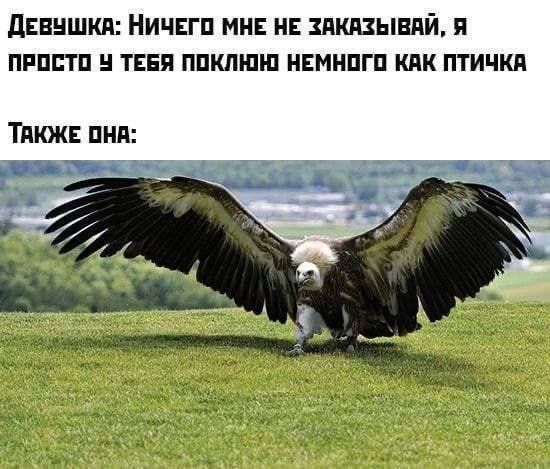 Девушка: Ничего мне не заказывай, я просто у тебя поклонюсь немного как птичка
Также она:
