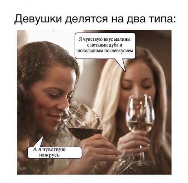 Девушки делятся на два типа:
Я чувствую вкус малины с нотками дуба и шоколадным послевкусием
А я чувствую нажрусь