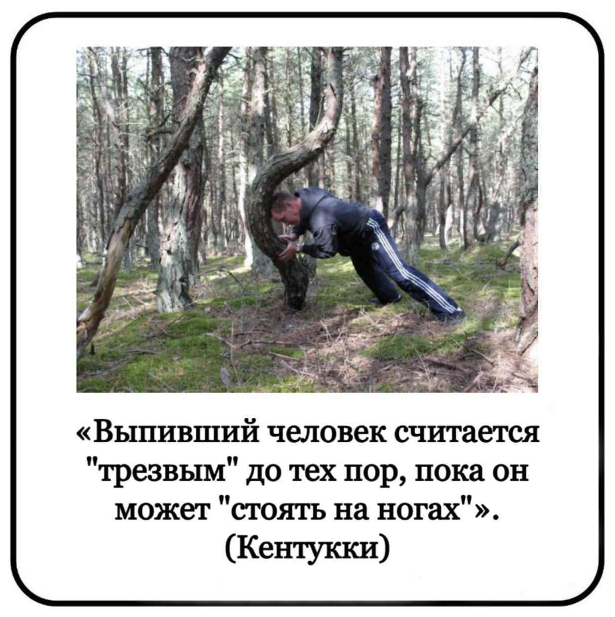 «Выпивший человек считается 