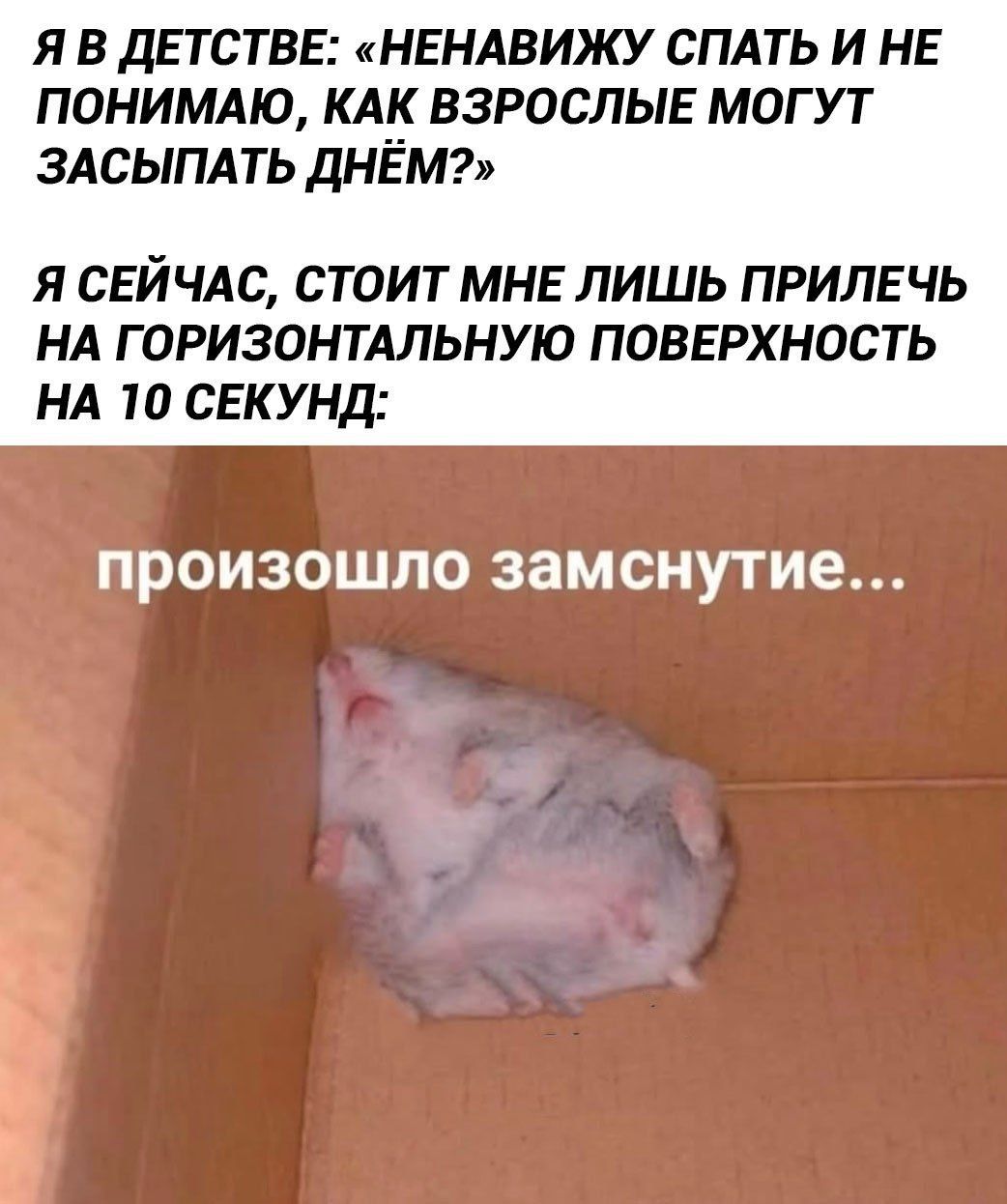 Я В ДЕТСТВЕ: «НЕНАВИЖУ СПАТЬ И НЕ ПОНИМАЮ, КАК ВЗРОСЛЫЕ МОГУТ ЗАСЫПАТЬ ДНЁМ?»
Я СЕЙЧАС, СТОИТ МНЕ ЛИШЬ ПРИЛЕЧЬ НА ГОРИЗОНТАЛЬНУЮ ПОВЕРХНОСТЬ НА 10 СЕКУНД:
произошло замснутие...