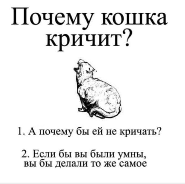 Почему кошка кричит?
1. А почему бы ей не кричать?
2. Если бы вы были умны, вы бы делали то же самое