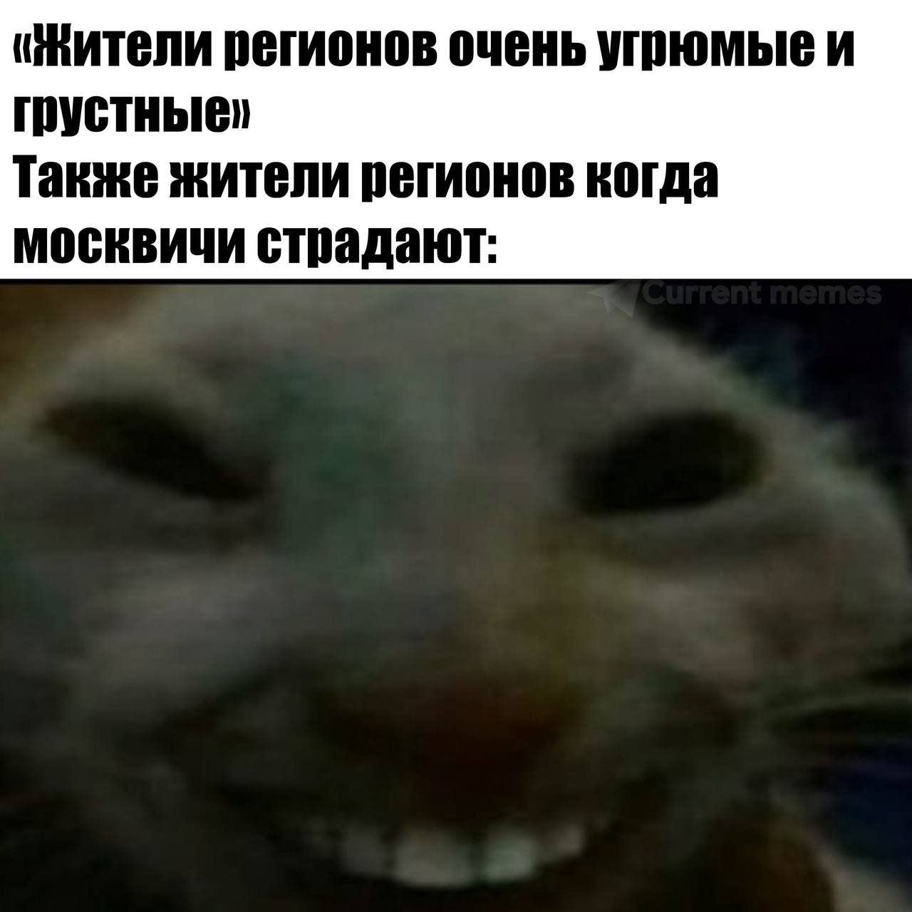 «Жители регионов очень угрюмые и грустные»
Также жители регионов когда москвичи страдают: