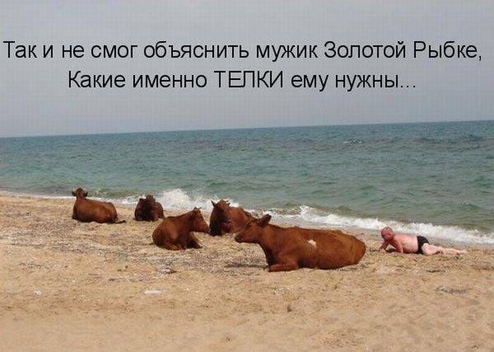 Так и не смог объяснить мужик Золотой Рыбке, Какие именно ТЕПЛКИ ему нужны...