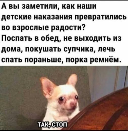 А вы заметили, как наши детские наказания превратились во взрослые радости? Поспать в обед, не выходить из дома, покушать супчика, лечь спать пораньше, порка ремнём. ТАК, СТОП.