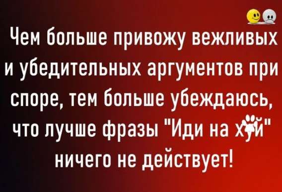 Чем больше привожу вежливых и убедительных аргументов при споре, тем больше убеждаюсь, что лучше фразы 