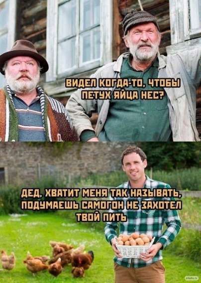 ВИДЕЛ КОГДА-ТО, ЧТОБЫ ПЕТУХ ЯЙЦА НЭС? ДЕД, ХВАТИТ МЕНЯ ТАК НАЗЫВАТЬ, ПОДУМАЕШЬ САМОГОН НЕ ЗАХОТЕЛ ТВОЙ ПИТЬ