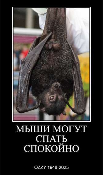 Мыши могут спать спокойно
OZZY 1948-2025