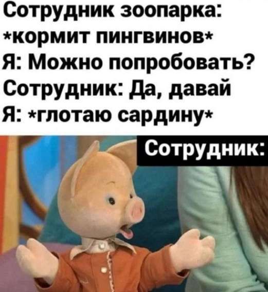 Сотрудник зоопарка: *кормит пингвинов*
Я: Можно попробовать?
Сотрудник: Да, давай
Я: *глотаю сардину*
Сотрудник: