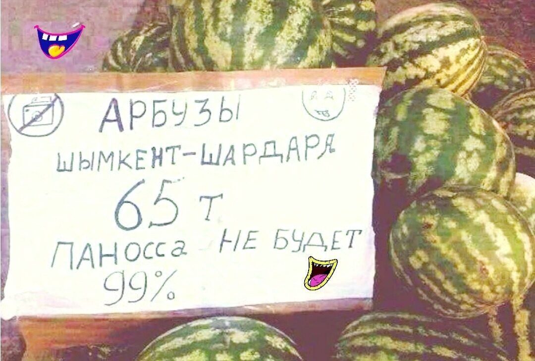АРБУЗЫ ШЫМКЕНТ-ШАРДАРЯ 65 т ПАНОССА НЕ БУДЕТ 99%