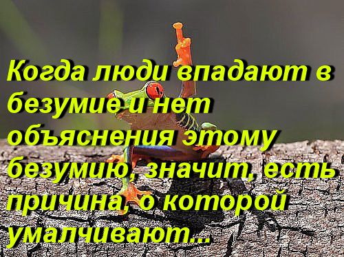 Когда люди впадают в безумие и нет объяснения этому безумию, значит, есть причина, о которой умалчивают...