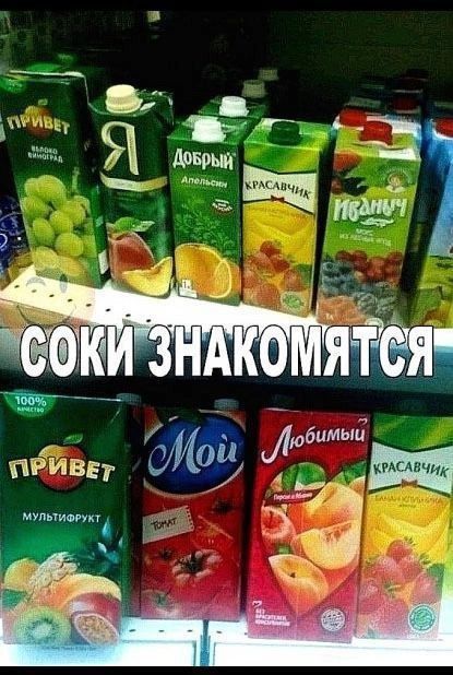 СОКИ ЗНАКОМЯТСЯ