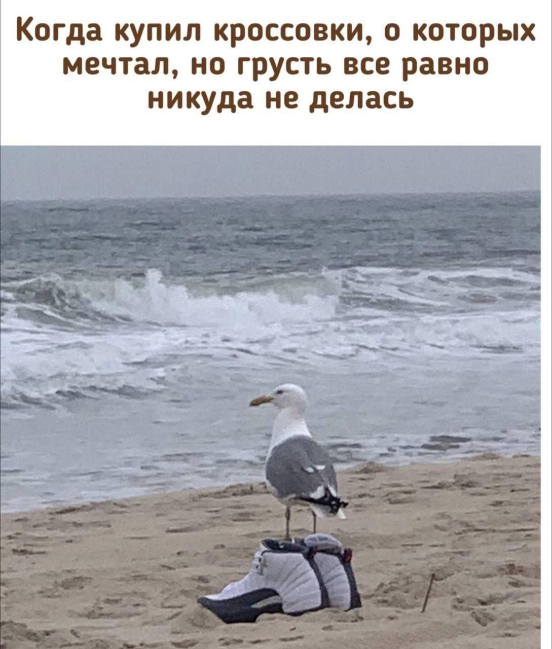 Когда купил кроссовки, о которых мечтал, но грусть все равно никуда не делась