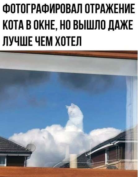 ФОТОГРАФИРОВАЛ ОТРАЖЕНИЕ КОТА В ОКНЕ, НО ВЫШЛО ДАЖЕ ЛУЧШЕ ЧЕМ ХОТЕЛ