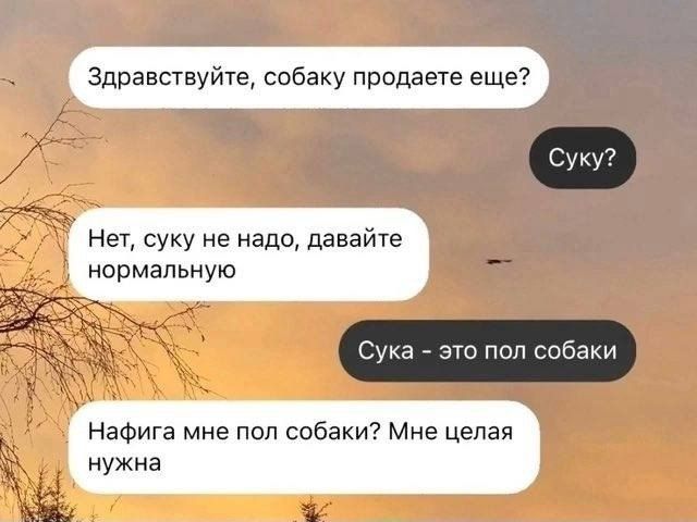 Здравствуйте, собаку продаете еще?
Суку?
Нет, суку не надо, давайте нормальную
Сука - это пол собаки
Нафига мне пол собаки? Мне целая нужна