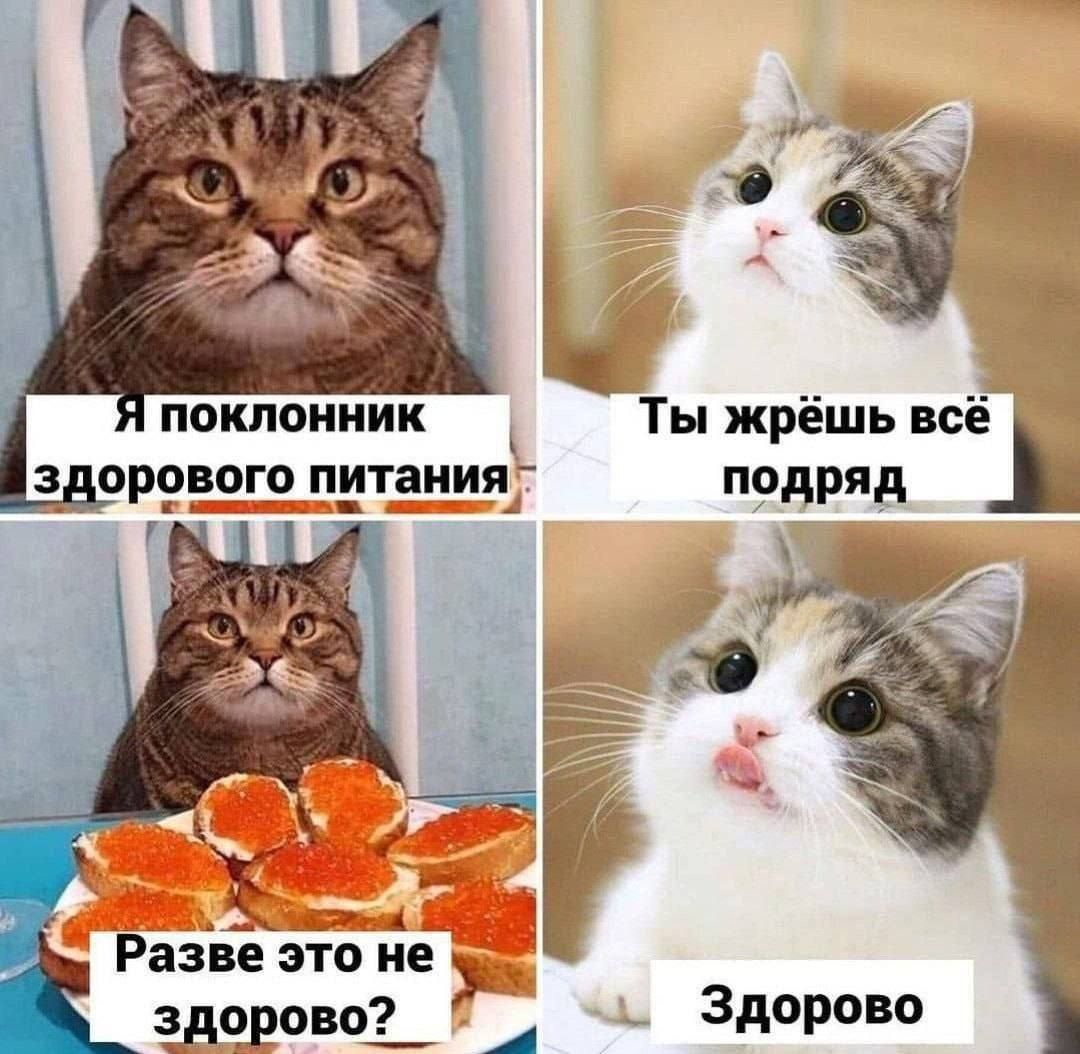 Я поклонник здорового питания. Ты жрёшь всё подряд. Разве это не здорово? Здорово.