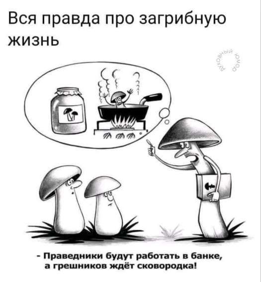 Вся правда про загрибную жизнь
- Праведники будут работать в банке, а грешников ждёт сковородка!