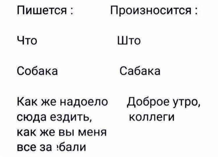 Пишется :
Что
Собака
Как же надоело сюда ездить, как же вы меня все за :бали

Произносится :
Што
Сабака
Доброе утро, коллеги
