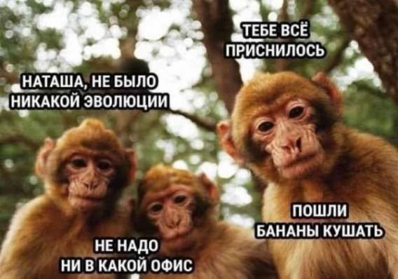 НАТАША, НЕ БЫЛО НИКАКОЙ ЭВОЛЮЦИИ
НЕ НАДО НИ В КАКОЙ ОФИС
ПОШЛИ БАНАНЫ КУШАТЬ
ТЕБЕ ВСЁ ПРИСНИЛОСЬ