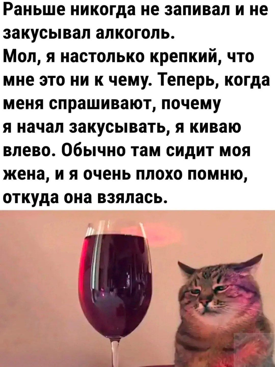 Раньше никогда не запивал и не закусывал алкоголь.
Мол, я настолько крепкий, что мне это ни к чему. Теперь, когда меня спрашивают, почему я начал закусывать, я киваю влево. Обычно там сидит моя жена, и я очень плохо помню, откуда она взялась.