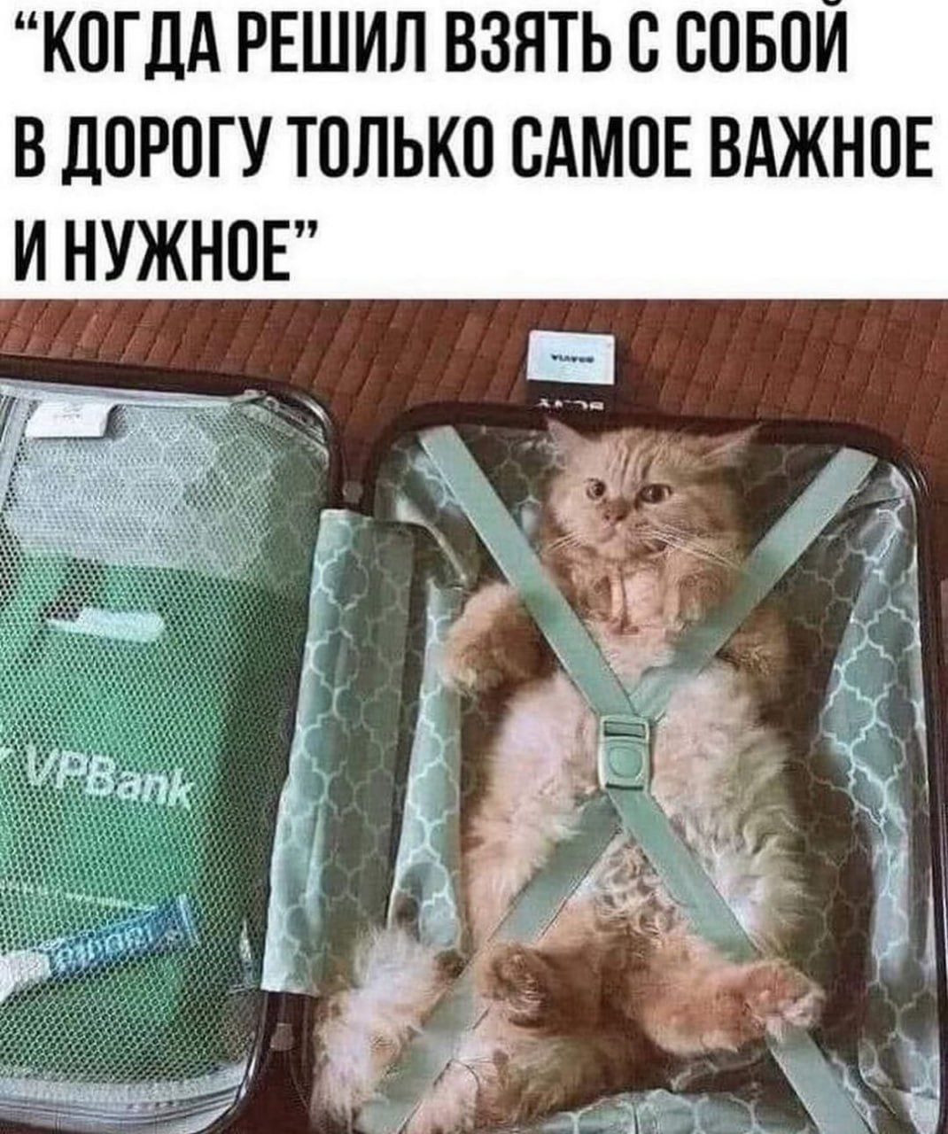 Когда решил взять с собой в дорогу только самое важное и нужное