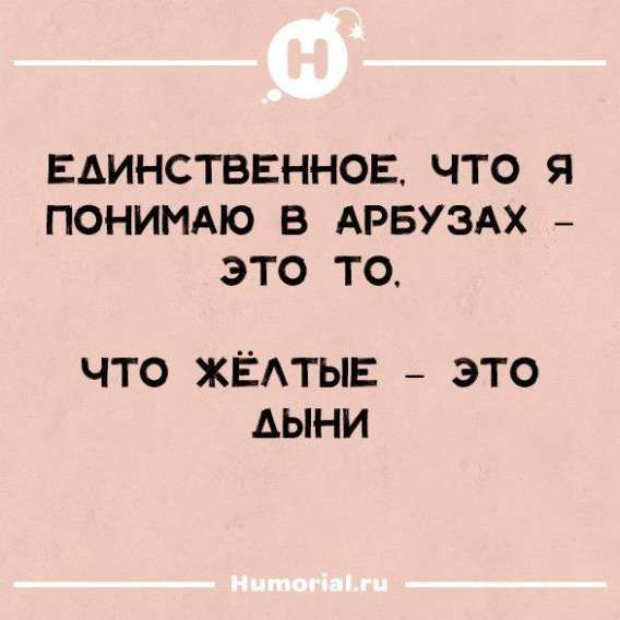 ЕДИНСТВЕННОЕ, ЧТО Я ПОНИМАЮ В АРБУЗАХ – ЭТО TO. ЧТО ЖЁЛТЫЕ – ЭТО ДЫНИ