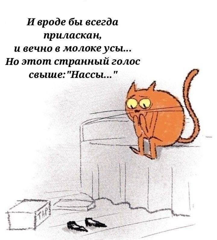 И вроде бы всегда приласкан, и вечно в молоке усы... Но этот странный голос свише: 